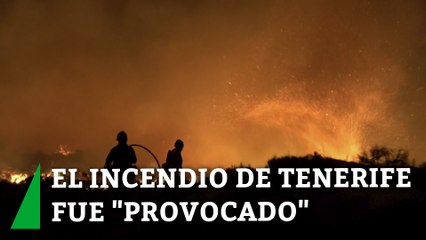 Se confirma que el incendio de Tenerife fue "provocado": 10.000 hectáreas calcinadas y 12.000 vecinos desalojados