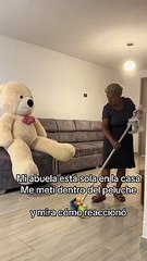 Abuelita sufre el peor susto de su vida con oso poseído: "Protégeme, señor con tu espíritu"