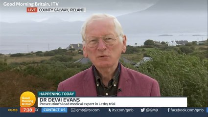 Lucy Letby lead prosecution doctor calls for hospital managers to stand trial for corporate manslaughter