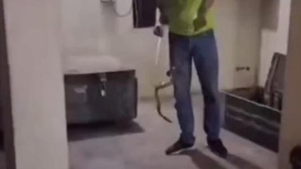 सवाई माधोपुर: फार्म हाउस में निकला कोबरा सांप, फिर देखे जो हुआ? कैसे किया रेस्क्यू