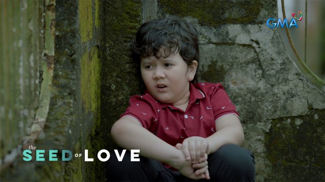 The Seed of Love: Thirdy escaped his kidnappers! (Episode 75)