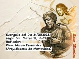 Evangelio del Día 21/08/2023, según San Mateo 19, 16-22 - Pbro. Mauro Fernández