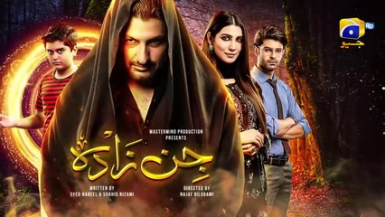 Jinzada Last Ep 30 - Syed Jibran - Nazish Jahangir - Saad Qureshi - Dramatic Affairs