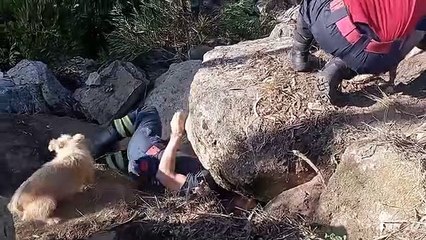 resgate cadela, barcelos