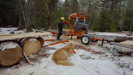 Making a Dining Table and Bench from a Pine Tree - ProjectProgression