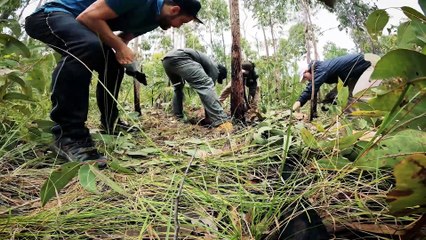 This Just Fell From Space | High Above Down Under | Episode 6