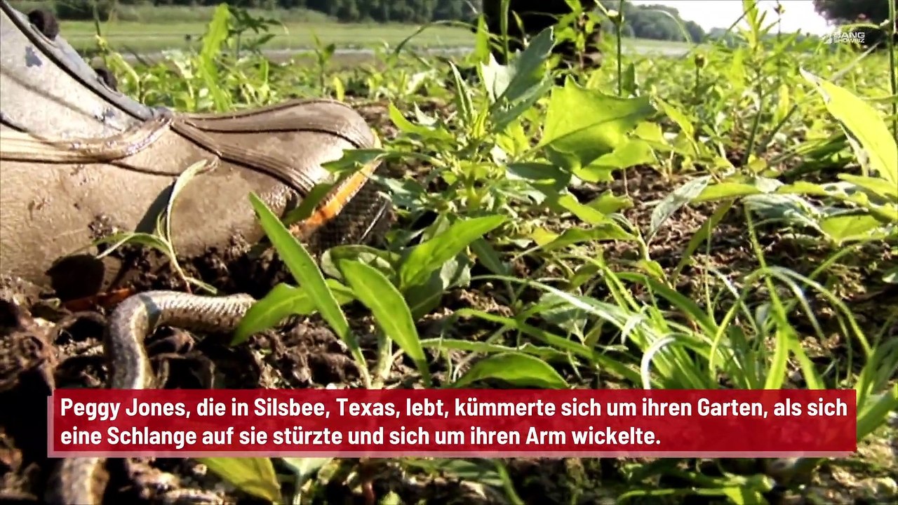 Eine Frau wird gleichzeitig von einer Schlange und einem Falken angegriffen