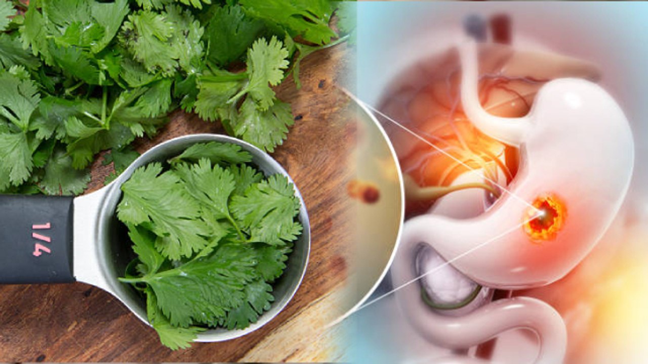 खाली पेट धनिया के पत्ते खाने क्या होता है | Khali Pet Dhaniya Ke Patte Khane se Kya Hota Hai |