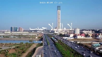 Dalia - Bladi - بلادي (Lyrics video)