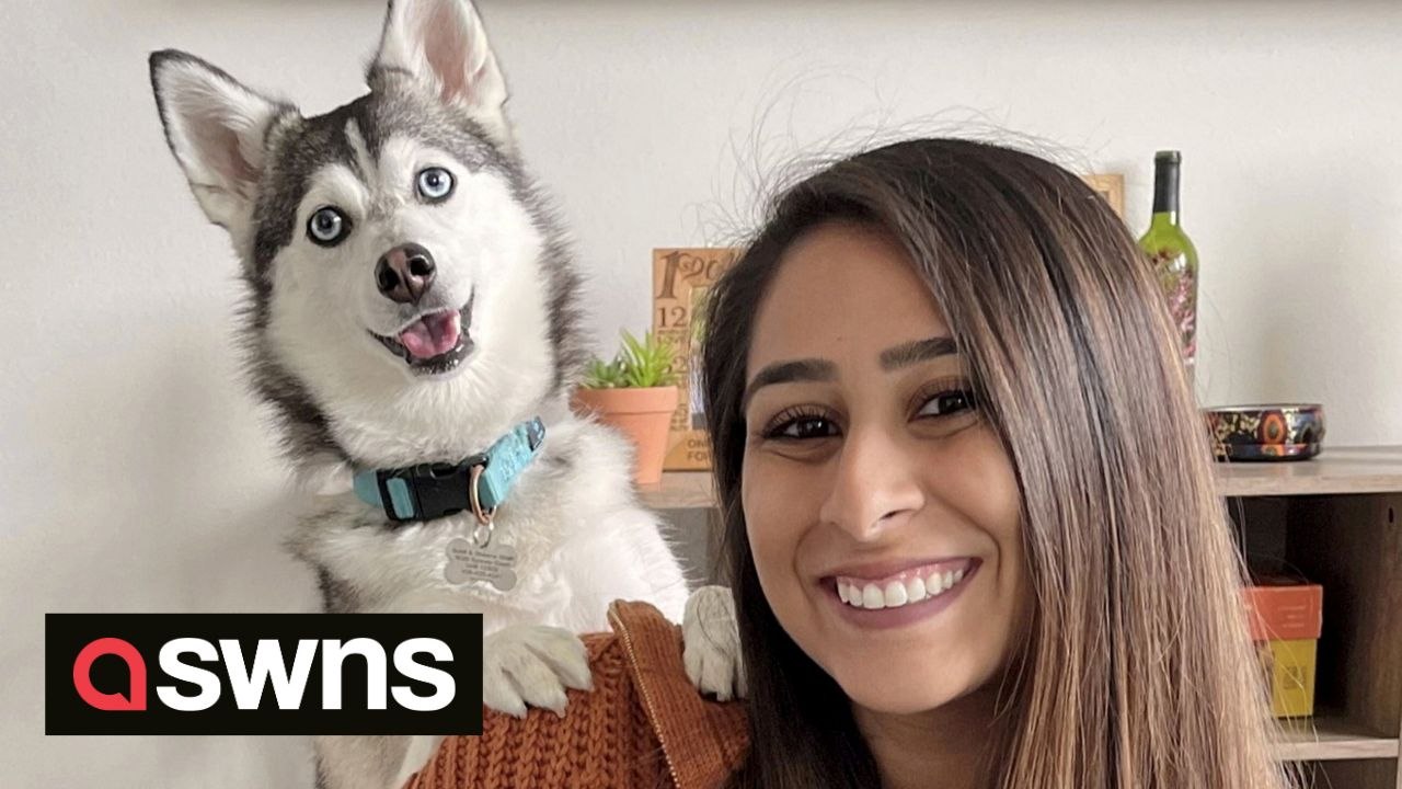 “I taught my dog to speak – he bosses my husband around and tells him to bring me food and drink.”