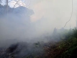 Kebakaran di Kubu Raya Menyebar ke Perkebunan Karet