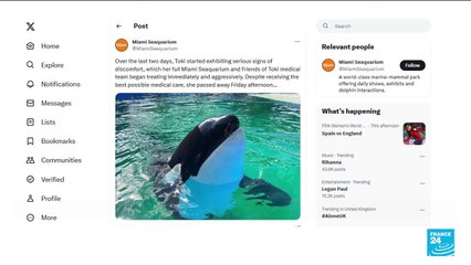 Lolita the orca dies at Miami Seaquarium after half-century in captivity