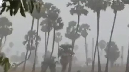 బాపట్ల జిల్లా: విస్తారంగా వర్షాలు.. వివరాలు ఇలా..!