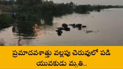 పల్నాడు జిల్లా: మద్యం సేవించేందుకు వెళ్లి ... ప్రమాదవశాత్తు చెరువులో పడి!