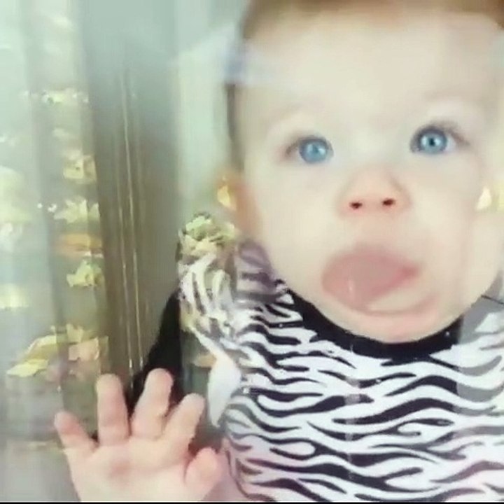 Funny Baby videos part 3 Solocall video Dailymotion