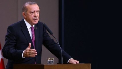 Erdoğan'dan başıboş sokak köpekleri konusunda net tavır: Avrupa'da nasıl çözüldüyse biz de aynısını yapacağız