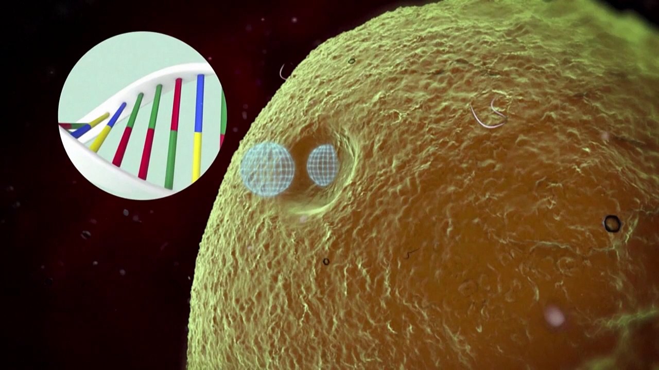 Videografik: so funktionieren mrna-impfstoffe