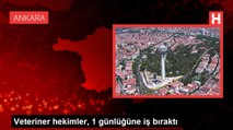 Veteriner Hekimler, Şiddete Karşı İş Bıraktı