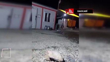 Kedinin ayıyla ekmek kavgası kameraya yansıdı