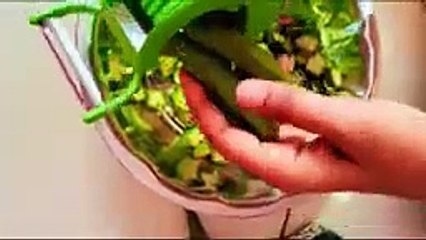 SaveTube.io-ఇన్నాళ్లు ఈటిప్స్ తేలియక ఎంత శ్రమపడి టైం waste చేసామో saving time tips useful kitchen tipschitakaalu-(144p) (1)