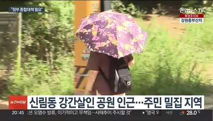 신림 공원 CCTV 7대 뿐…범죄 사각 해소책은