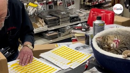 ¡Esta tienda tiene un dependiente muy diferente a todos los demás! (Vídeo)