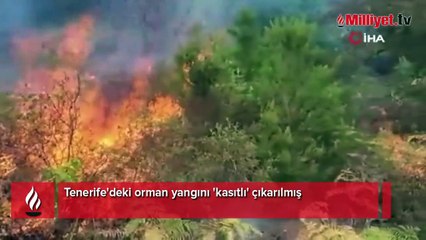 Tenerife'deki orman yangını 'kasıtlı' çıkarılmış