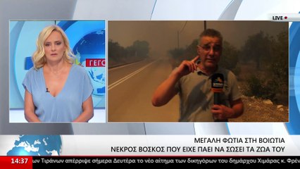 Η φωτιά στο Σαράντη απείλησε τηλεοπτικό συνεργείο του Star Κ.Ε. (βίντεο)