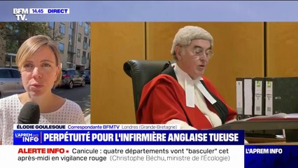 Perpétuité incompressible pour l'infirmière anglaise tueuse de nouveau-nés