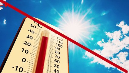 Can Humanity Live Underground to Survive Climate Change?