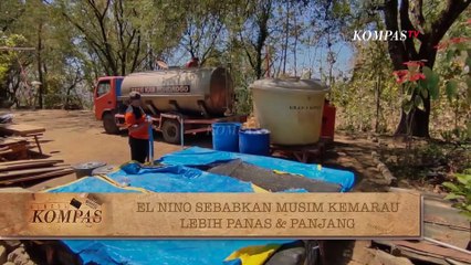 Benarkah Program Lumbung Pangan Sudah Tepat Sasaran di Indonesia?  | BERKAS KOMPAS