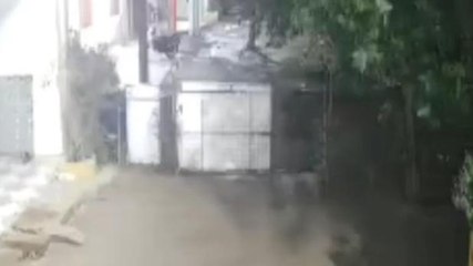 देवास: तीन जगह बाइक चोरी, सीसीटीवी फुटेज आया सामने