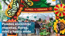 Pasan domingo familiar en el Festival de las Flores de Verano 2023