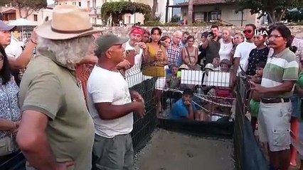 KUŞADASI’NDA 33 CARETTA CARETTA YAVRUSU DENİZLE BULUŞTU