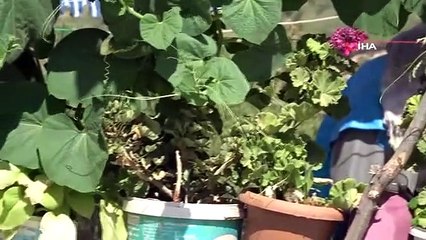 Kilis'teki depremzedeler çiçeklerle zaman geçiriyor