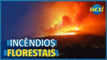 Incêndios florestais na Grécia, Canadá e Espanha
