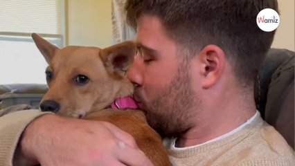 Deciden adoptar a su primer perro la aventura da un giro muy inesperado (Vídeo)