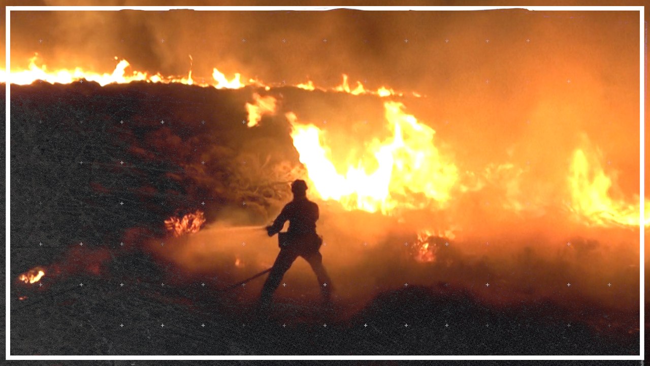 Waldbrand auf Teneriffa sorgt Touristen