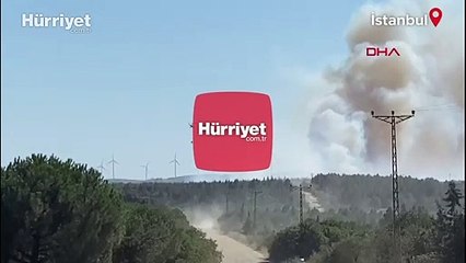 Silivri'de orman yangını: Çok sayıda ekip sevk edildi