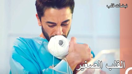 الرضيع الذي ينام في وضعية الكنغر - نبضات قلب الحلقة 17