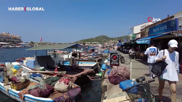 İzmir Foça'da turizmi denizanası vurdu, plajlar boş kaldı