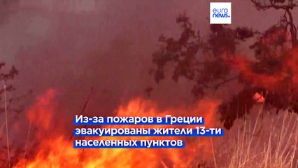 Греция и Испания: отчаянная борьба с лесными пожарами