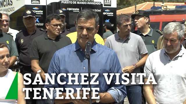Sánchez visita la zona afectada por el incendio de Tenerife: la declarará zona catastrófica