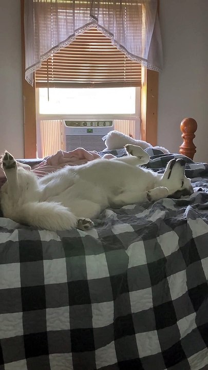 Onna Sleeping In Bliss