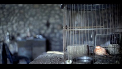 Ροζαλία (2017) WEBRip FHD [Κατερίνα Γιαννακοπούλου] 14min