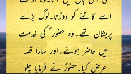 Very interesting and funny story |Ladi doctor ka pehla piyar