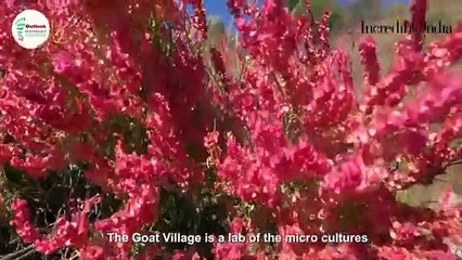 IRTA 2019 - Gold winner in the 'Best Earth-friendly Stay’ category