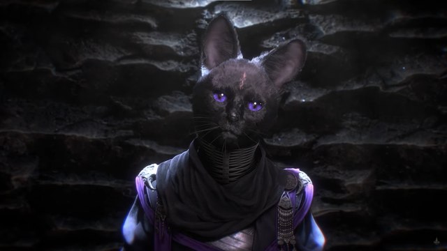 Ce jeu a récolté plus de 110 000 dollars sur Kickstarter, c'est comme Dark Souls sauf que vous allez jouer un chat !