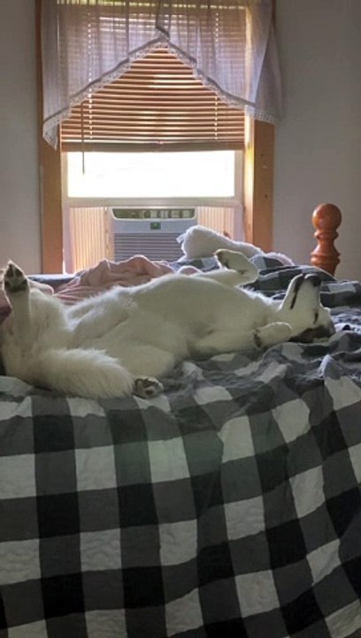 Onna Sleeping In Bliss