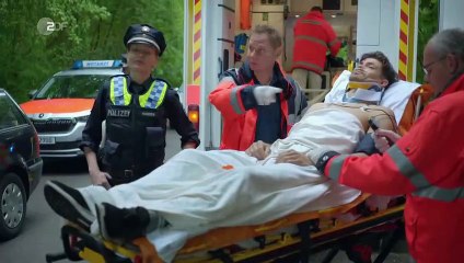 Notruf Hafenkante (419) Staffel 17 Folge 13 - Abgestürzt